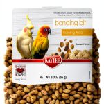 Kaytee Bird Bonding Bits Training Treat 3 oz Omega‑3 for Conures-0
