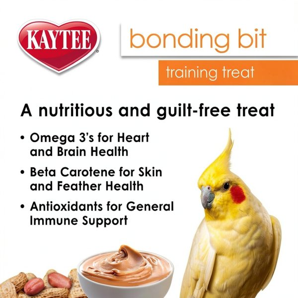 Kaytee Bird Bonding Bits Training Treat 3 oz Omega‑3 for Conures-2