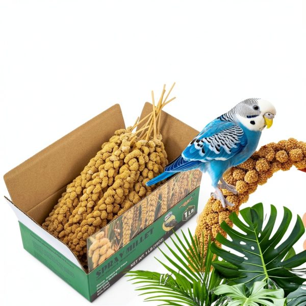 RANZ Millet Spray Bird Treat 1LB Harvested Sun-Dried Snack for Budgies-2
