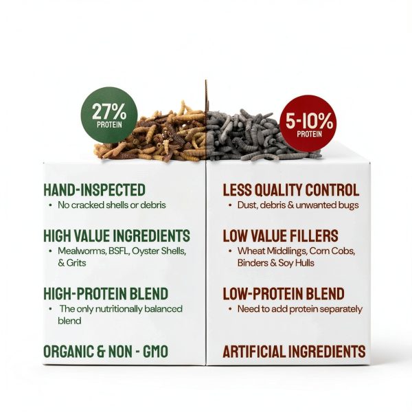 Chicken Feed Hatortempt 10lb Mealworms & Fly Larvae with Calcium-2