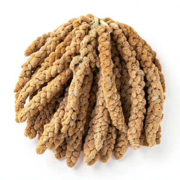 Spray Millet for Parakeets Amzey 5.5LB Natural High-Protein Treat-2