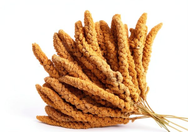 Spray Millet for Parakeets Amzey 5.5LB Natural High-Protein Treat-3