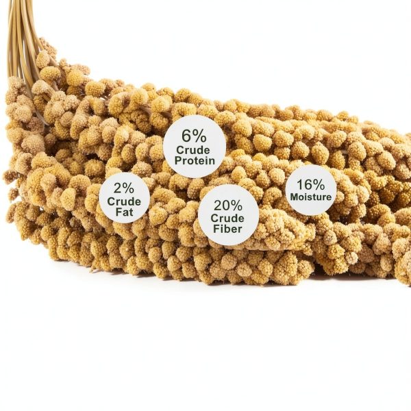 RANZ Millet Spray Bird Treat 1LB Harvested Sun-Dried Snack for Budgies-5