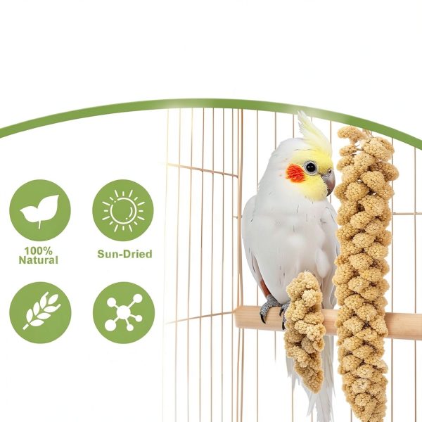 RANZ Millet Spray Bird Treat 1LB Harvested Sun-Dried Snack for Budgies-4