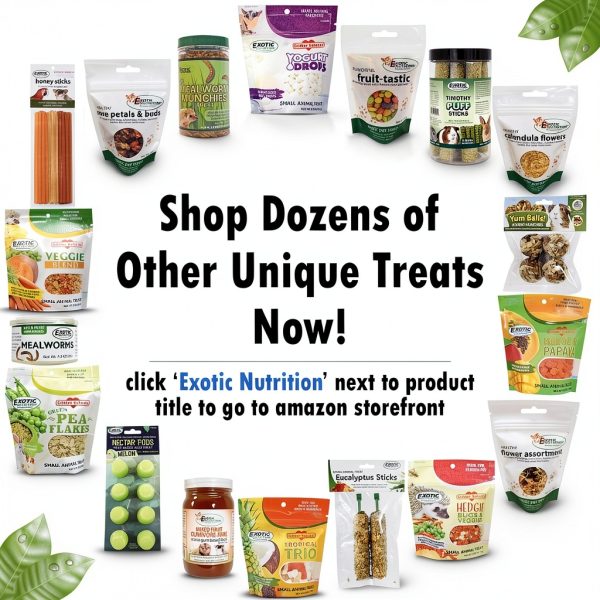 Tropical Trio Mixed Dried Fruit Treat for Small Pets by Exotic-4