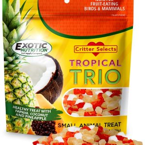 Tropical Trio Mixed Dried Fruit Treat for Small Pets by Exotic-0