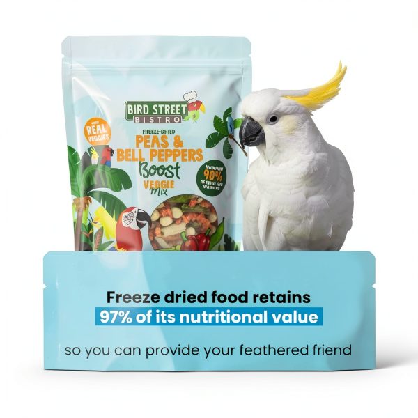 Bird Street Bistro Parrot Food 2oz Organic Grains Non‑GMO Fruits-4